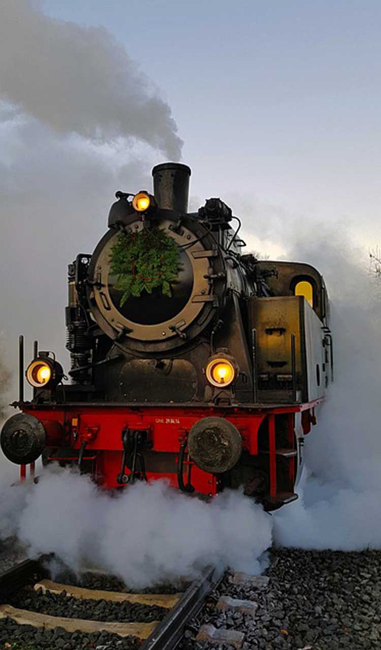 Charbon pour Machine à vapeur / Locomotive (sans fumée) en sac - 25 Kgs – Image 4