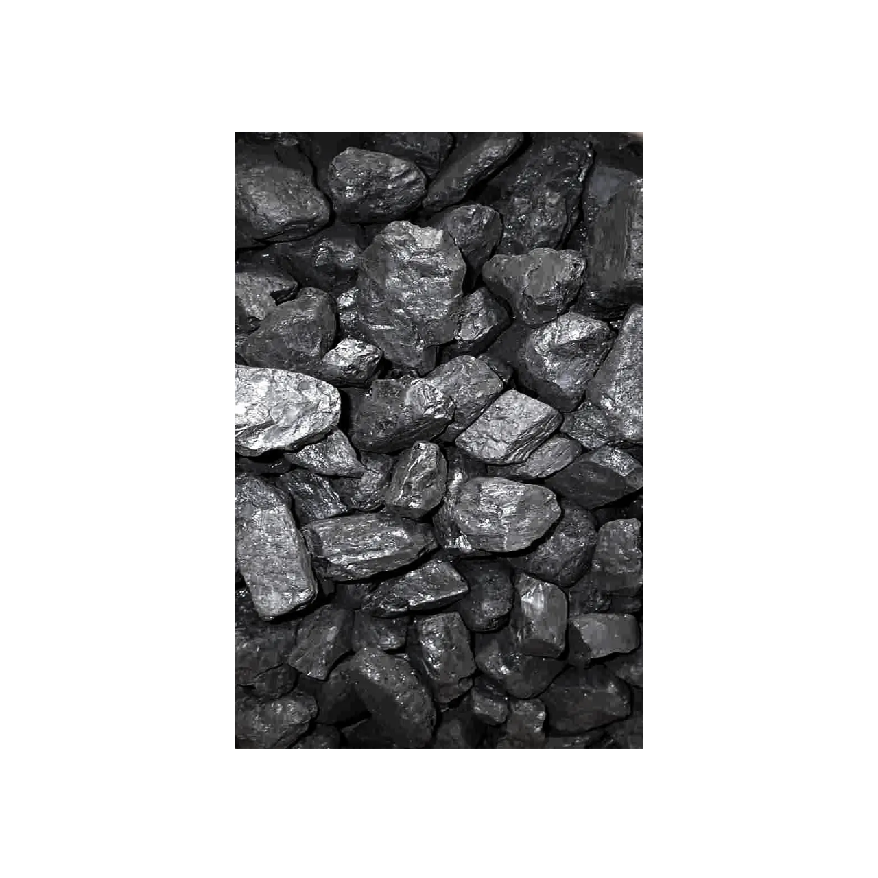 Houille de forge en carton - 10 Kgs – Image 2